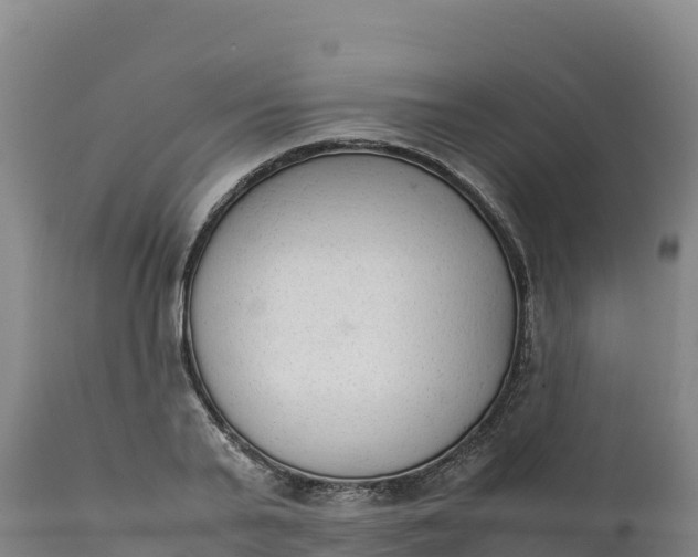 X0000112400791200908281749