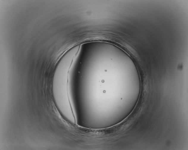 X0000112400793200908281749
