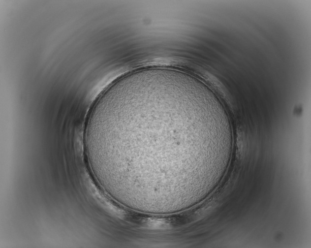 X0000112400794200908281749