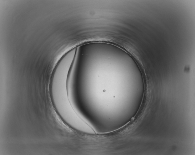 X0000112400797200908281749