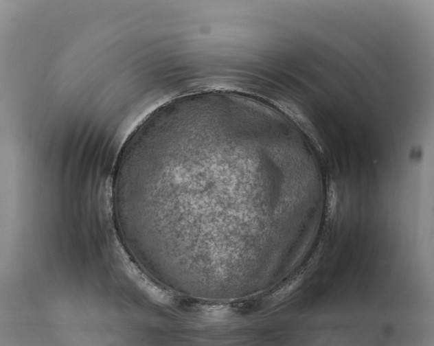 X0000112400798200908281749