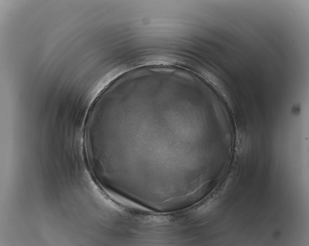 X0000112400802200908281749