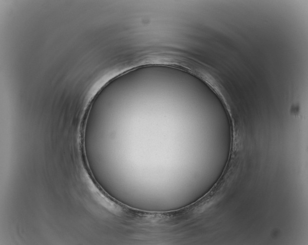 X0000112400803200908281749