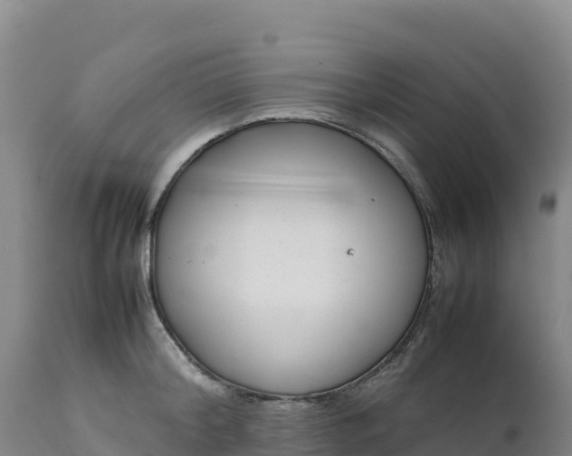 X0000112400804200908281749