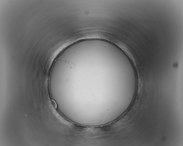 X0000112400805200908281749