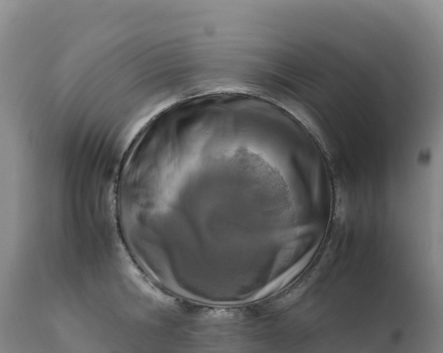 X0000112400806200908281749