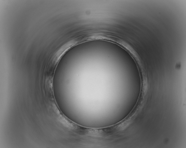 X0000112400809200908281749