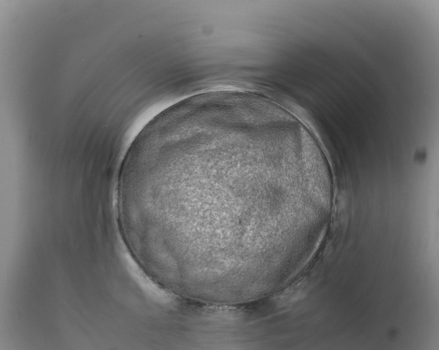 X0000112400811200908281749