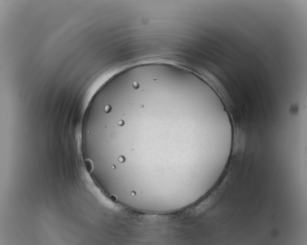 X0000112400812200908281749