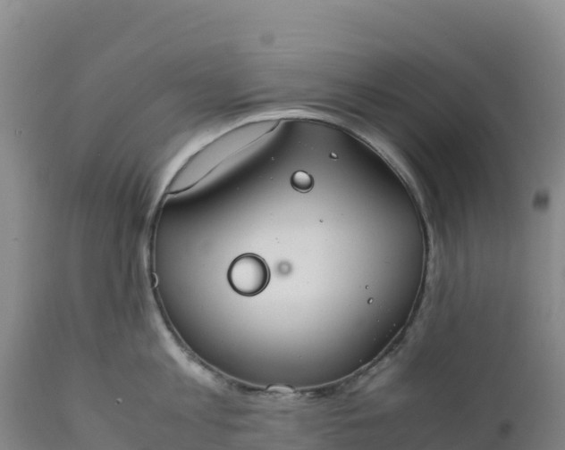 X0000112400813200908281749