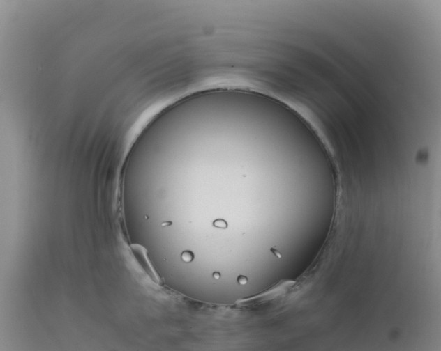 X0000112400815200908281749