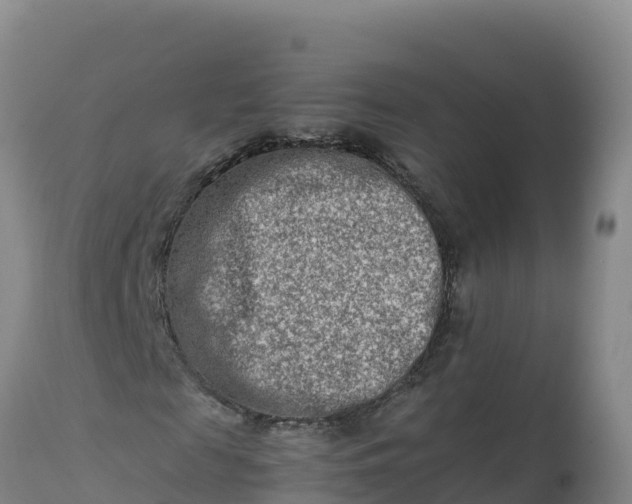 X0000112400817200908281748