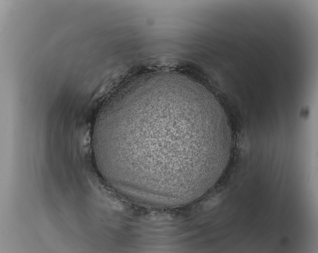 X0000112400818200908281748