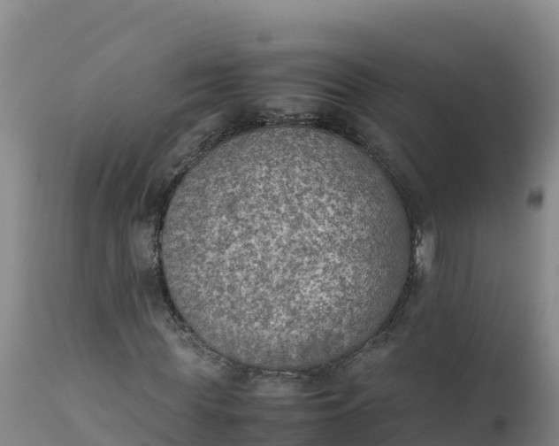 X0000112400819200908281748