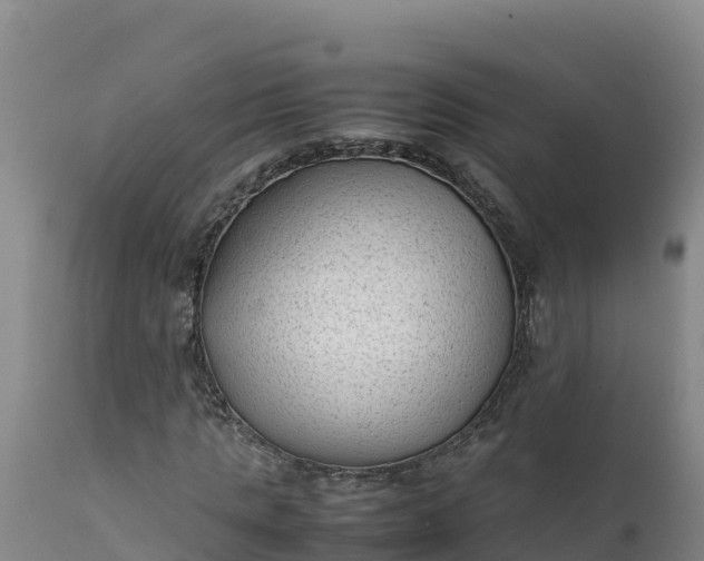 X0000112400821200908281748