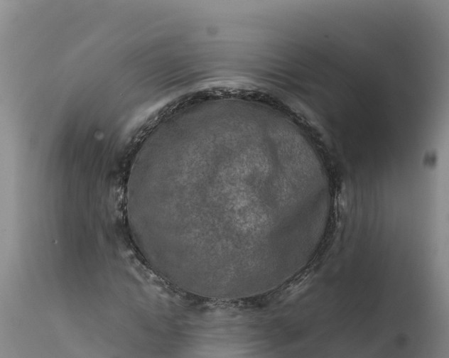 X0000112400822200908281748
