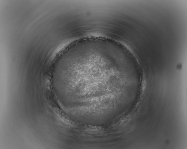 X0000112400823200908281748