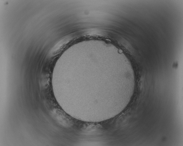 X0000112400824200908281748