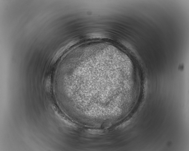 X0000112400825200908281748