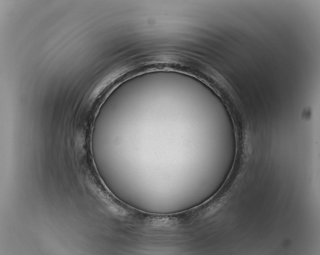 X0000112400826200908281748