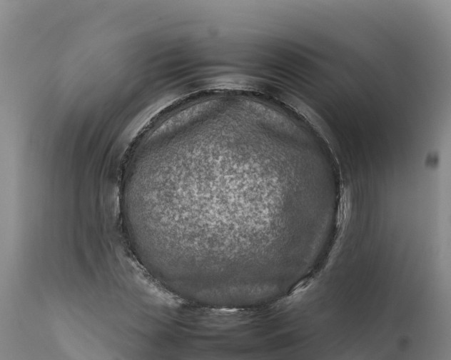 X0000112400829200908281748