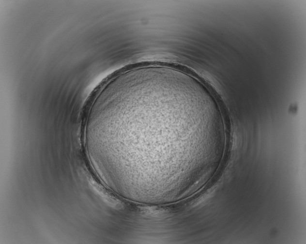 X0000112400830200908281748