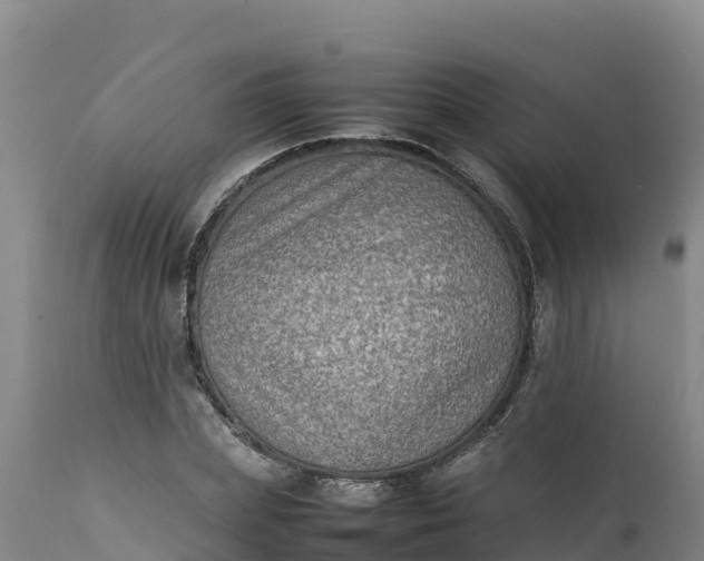 X0000112400831200908281748