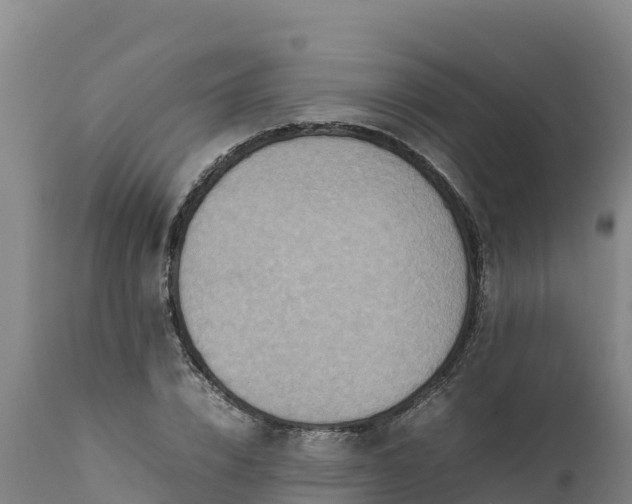 X0000112400832200908281748