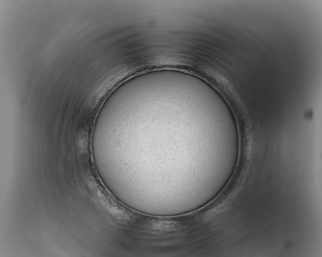 X0000112400833200908281748