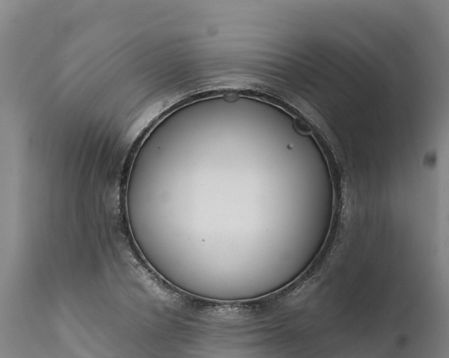 X0000112400834200908281748