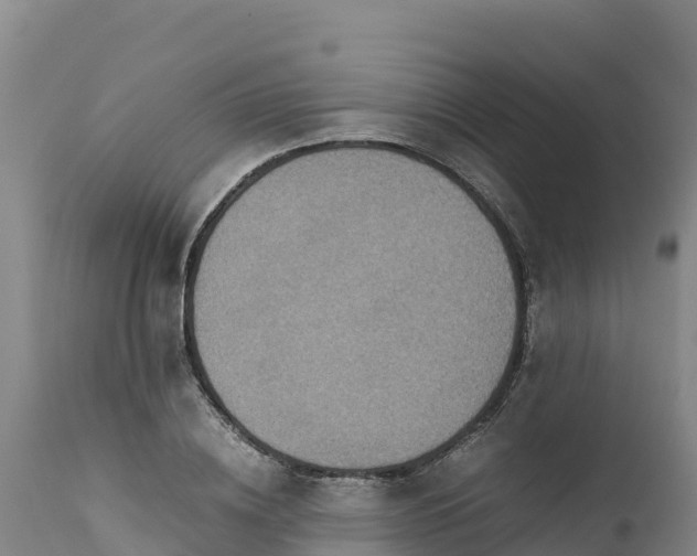 X0000112400836200908281749