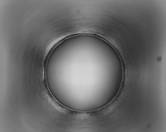 X0000112400838200908281749