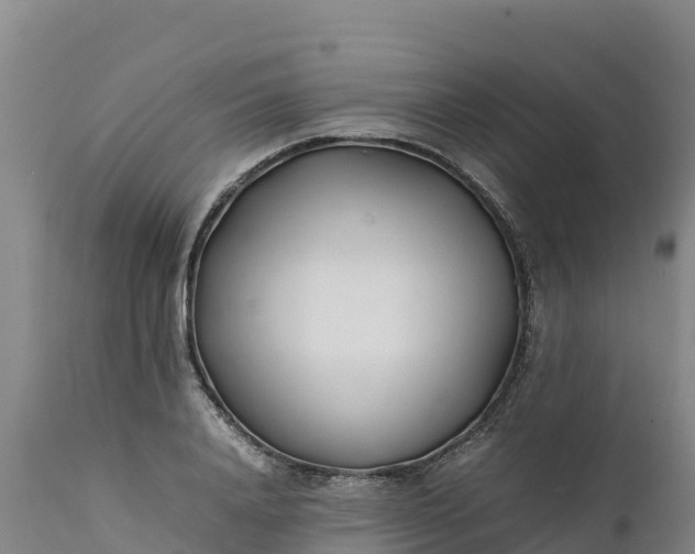 X0000112400840200908281749