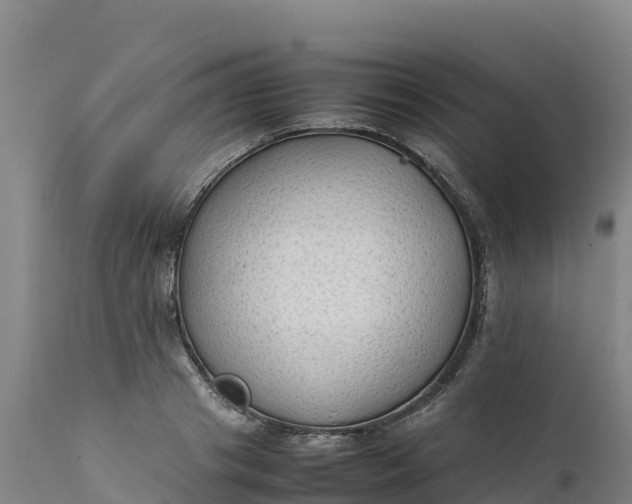 X0000112400841200908281749