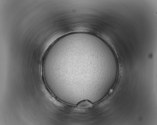 X0000112400843200908281749