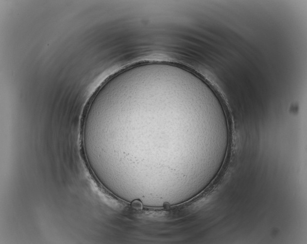 X0000112400845200908281749
