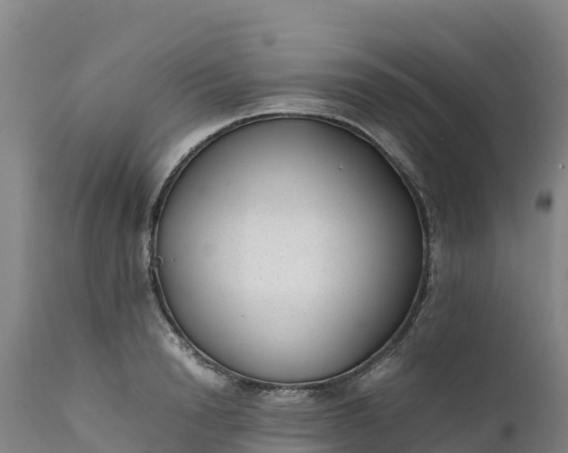 X0000112400846200908281749