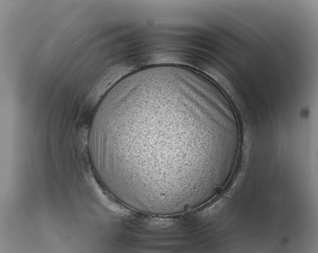 X0000112400849200908281749