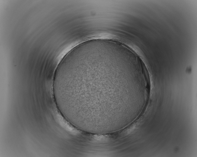 X0000112400850200908281749