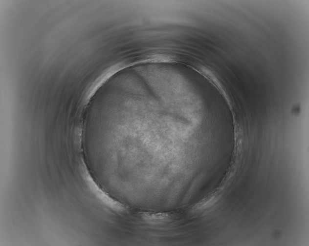 X0000112400851200908281749