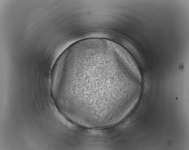 X0000112400852200908281749