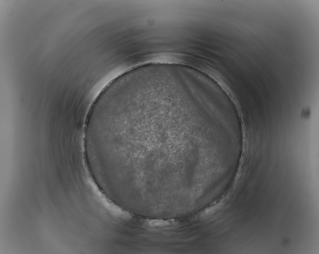 X0000112400853200908281749