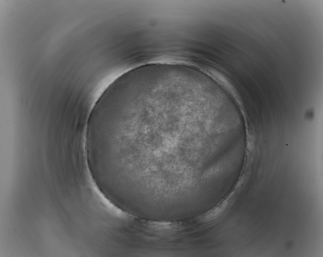 X0000112400855200908281749