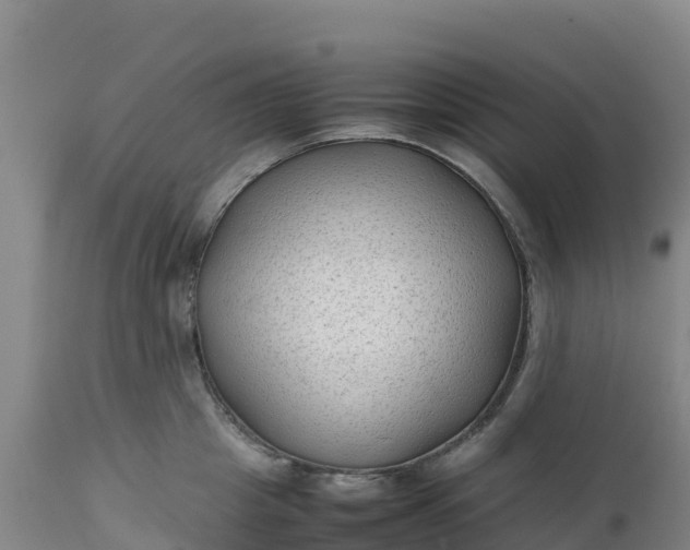 X0000112400857200908281749