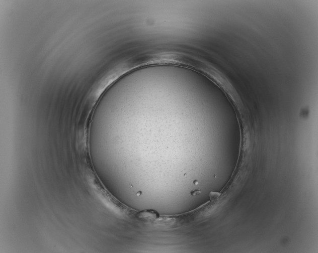 X0000112400858200908281749