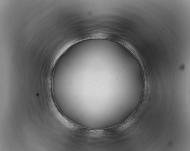 X0000112400859200908281749