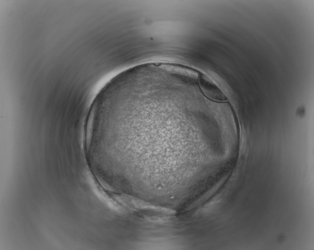 X0000112400862200908281749
