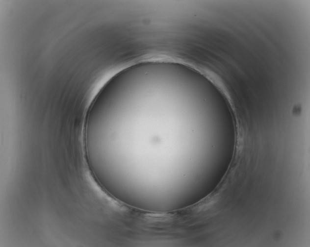 X0000112400863200908281749