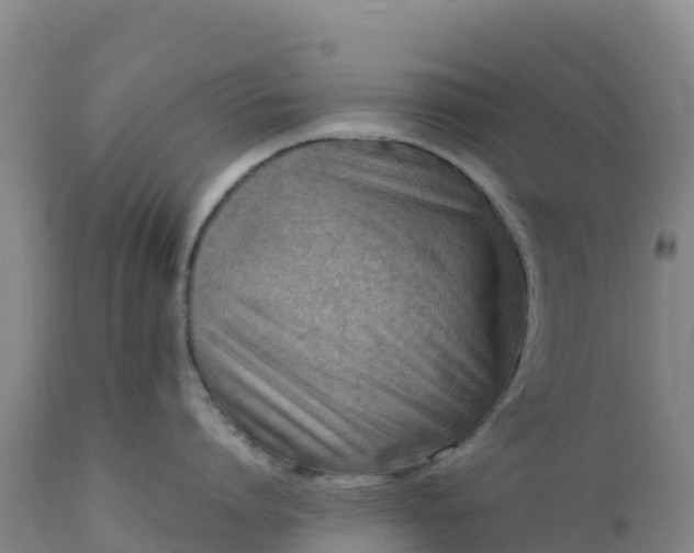 X0000112400864200908281749