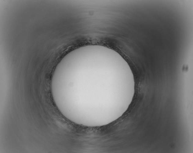 X0000112400865200908281748